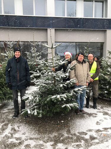 Christbaum von der Firma Infotech f&uuml;r das Wohnhaus Ried