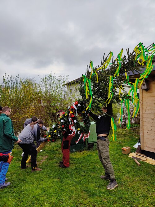 Erster Maibaum für Werkstätte Freistadt