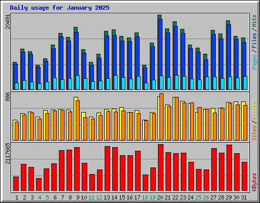 Daily usage for January 2025