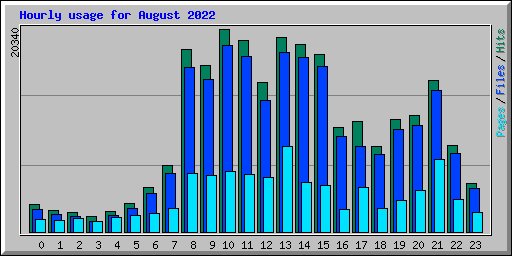 Hourly usage for August 2022