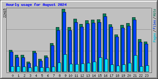Hourly usage for August 2024