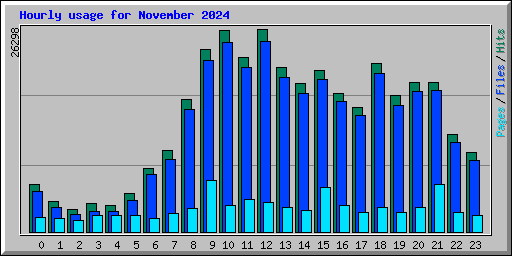 Hourly usage for November 2024