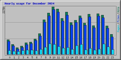 Hourly usage for December 2024
