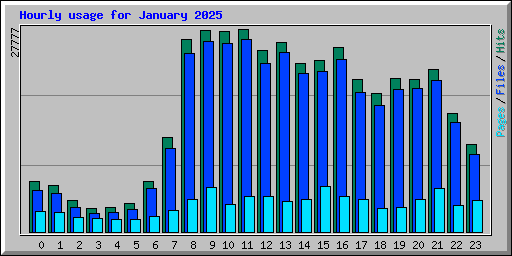 Hourly usage for January 2025