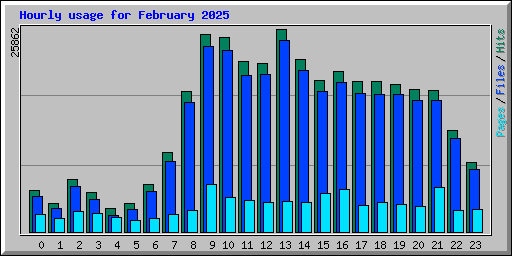 Hourly usage for February 2025
