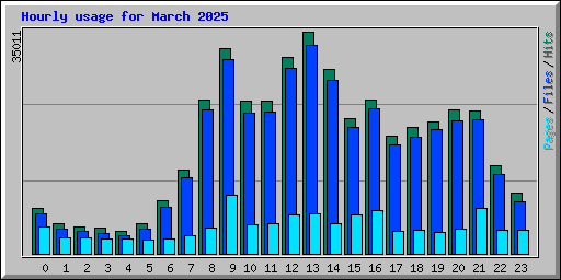 Hourly usage for March 2025