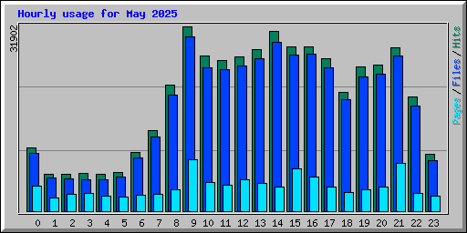 Hourly usage for May 2025