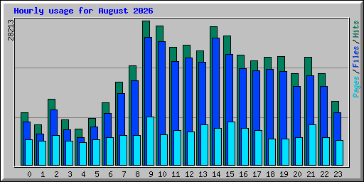 Hourly usage for August 2026